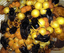 画像をギャラリービューアに読み込む, クロマルくろびー