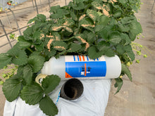 画像をギャラリービューアに読み込む, メリトップ