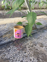 画像をギャラリービューアに読み込む, コレトップ