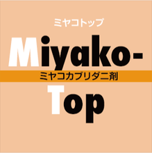 画像をギャラリービューアに読み込む, ミヤコトップ