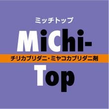 画像をギャラリービューアに読み込む, ミッチトップ