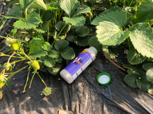 画像をギャラリービューアに読み込む, ミッチトップ