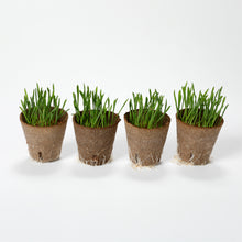 画像をギャラリービューアに読み込む, アブラバチ用バンカー
