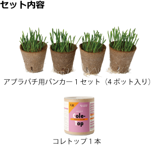 アブラバチ用バンカー＆コレトップセット