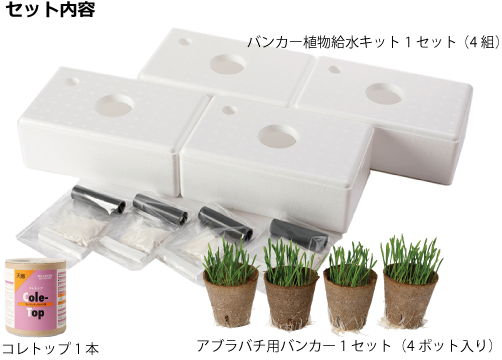 アブラバチ用バンカー導入セット