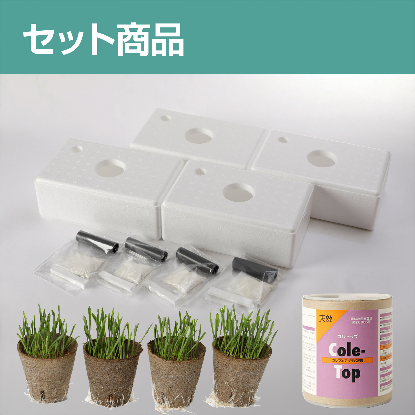 アブラバチ用バンカー導入セット