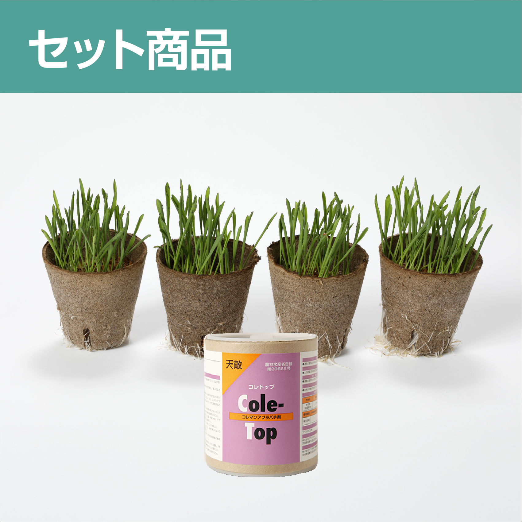 アブラバチ用バンカー＆コレトップセット