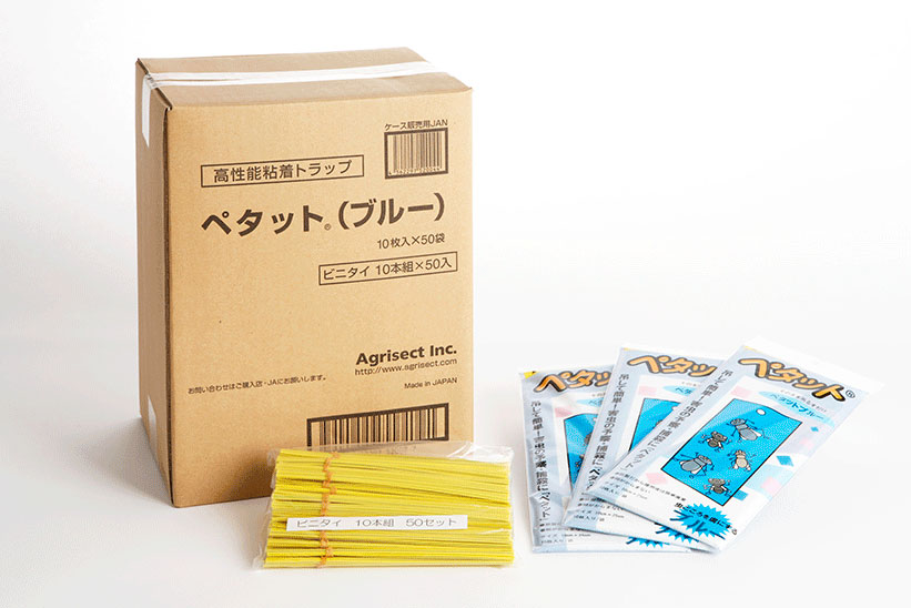 ペタットブルー（ビニタイ付）